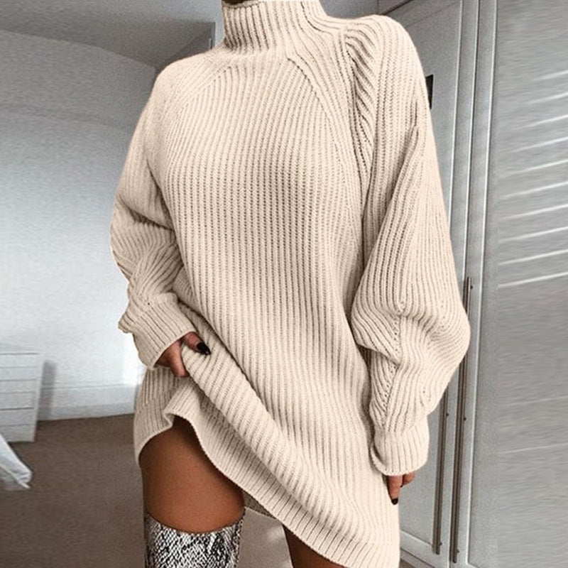 Women's Turtleneck Knit Sweater Dress