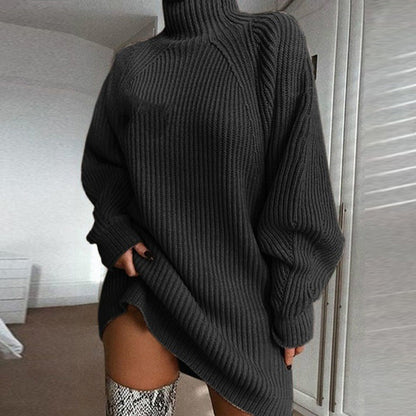 Women's Turtleneck Knit Sweater Dress